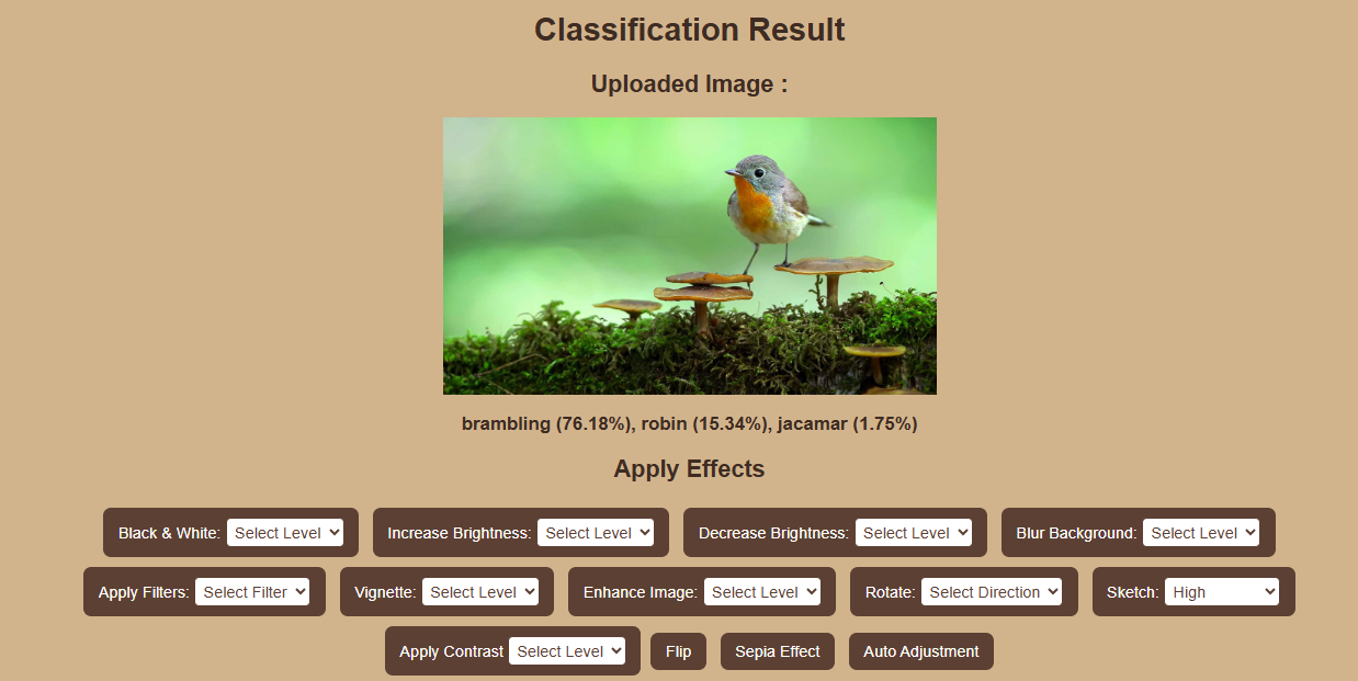 Image-recognition-image